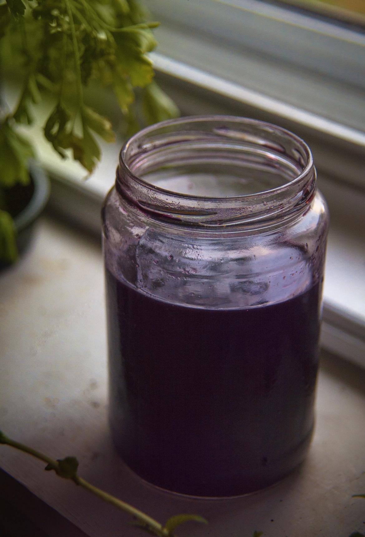 Elderberry