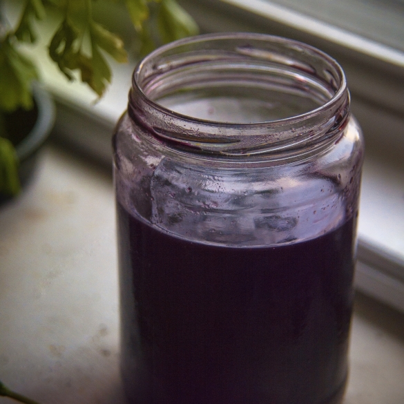 Elderberry